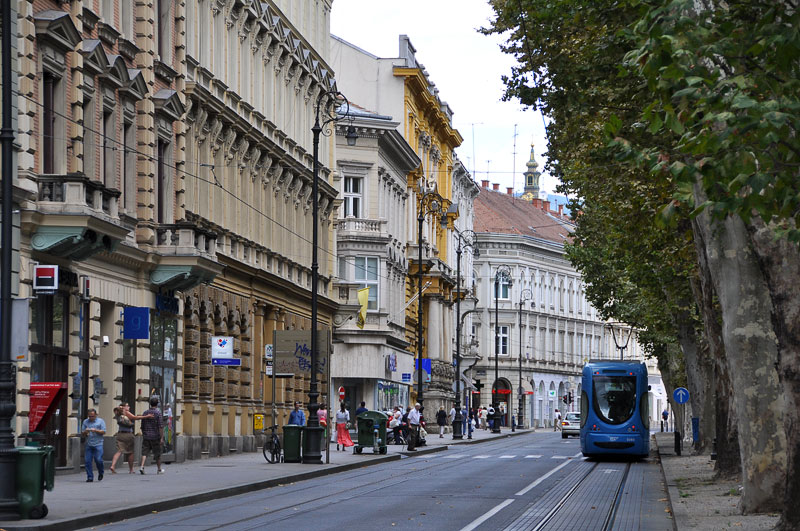 Zrinjevac, drvored platana